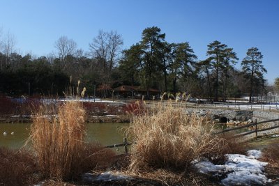 Cook Park<BR>February 25, 2009