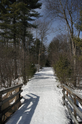 Wooden BridgeMarch 7, 2009