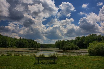 Pond in HDRJune 28, 2009