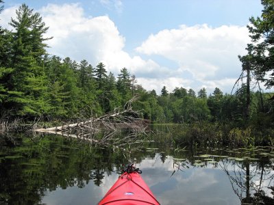 Kayaking Osgood PondAugust 15, 2009