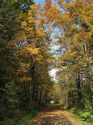 Bike Trail<BR>October 10, 2009