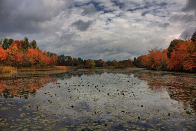 Autumn Scene in HDROctober 13, 2009