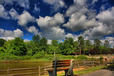 Local Park in HDR<BR>June 11, 2010