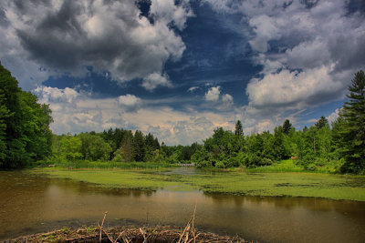 Five Rivers in HDR<BR>June 24, 2010