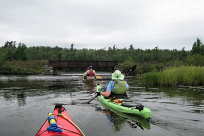 Kayaking the Bog RiverAugust 15, 2010