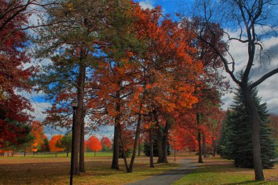 Autumn Colors in HDR November 1, 2010