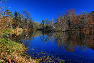 Landscape of Pond in HDR November 11, 2010