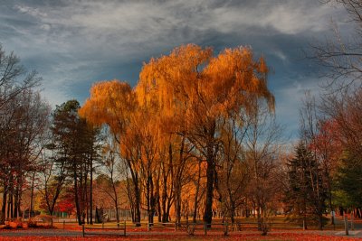 Autumn Landscape in HDR November 21, 2010
