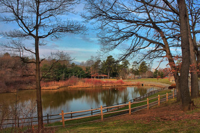 Park Pond in HDR<BR> December 3, 2010