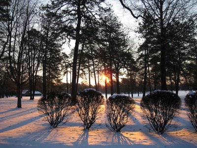 Sunrise in the ParkJanuary 16, 2011