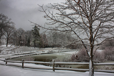 Winter Scene in HDRJanuary 19, 2011