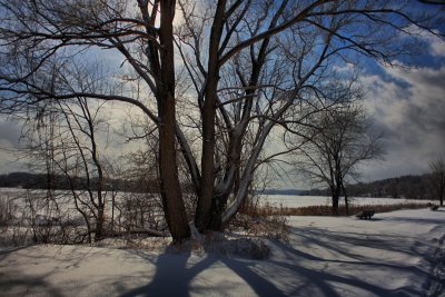 Winter Scene in HDR<BR>January 20, 2011