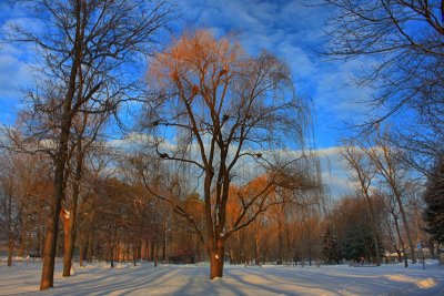 Winter Landscape in HDRJanuary 29, 2011