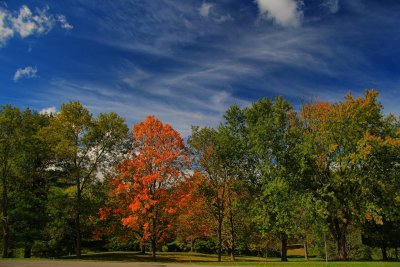 Autumn Scene in HDRSeptember 19, 2012