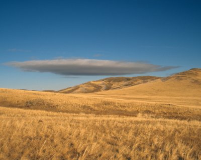 Mongolia sky