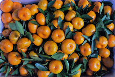 CLEMENTINES