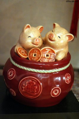 Year of the Pig