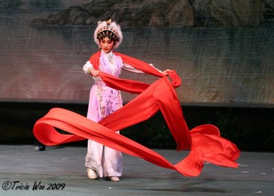 Colour and Glamour of Chinese Opera 2009