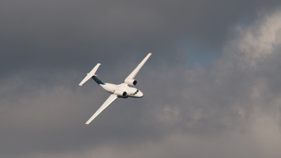 _DSC0074.jpg