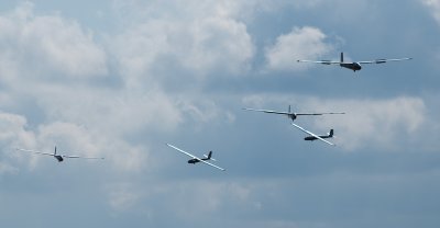 _DSC0239.jpg