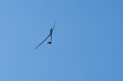 _DSC0250.jpg