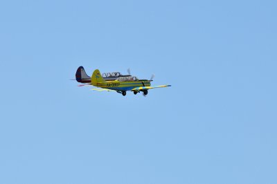_DSC0398.jpg