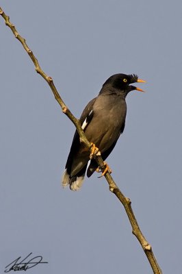 g1/56/689056/3/112008773.FCZEwUK3.jpg