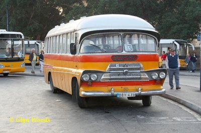 DBY 436