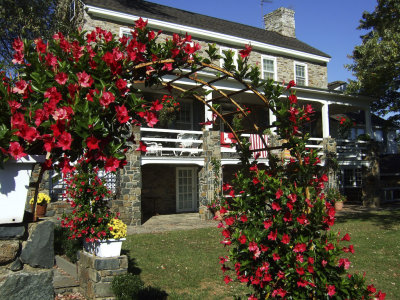 20081019-2056.jpg
