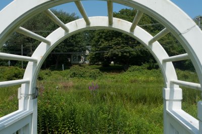 20090803-P1010307.jpg