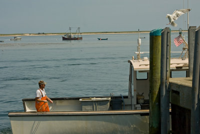 20090803-_MG_8899.jpg