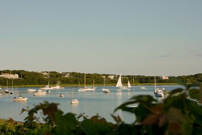 20090807_MG_9087.jpg