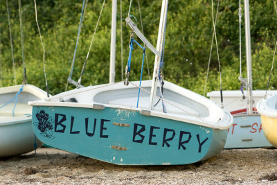 20090807_MG_9099.jpg