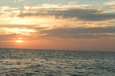 20090522-_MG_7703.jpg