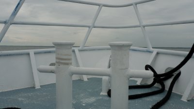 g1/56/713156/3/116657109.iARqcXKR.jpg