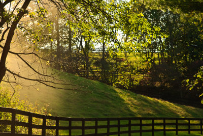 VA Hunt Country, Octobers Golden Light and Sun