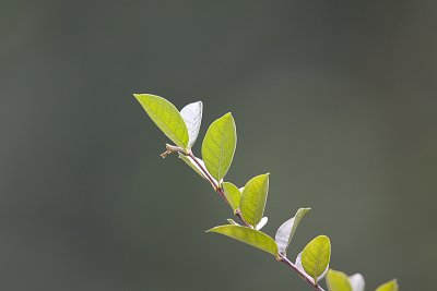 g1/56/717656/3/107818661.jsxFHAdM.jpg