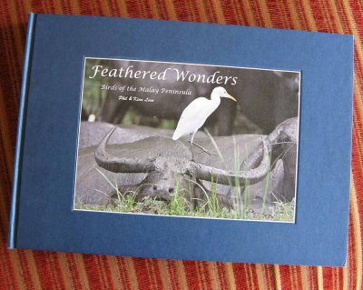 Feathered Wonders - Bird of the Malay Peninsula