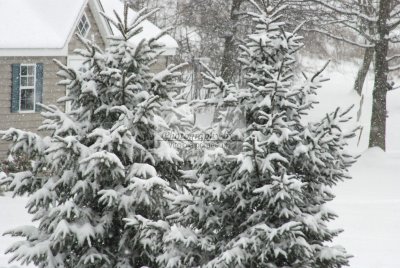 DSC_0305-A.jpg