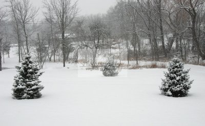 DSC_0308-A.jpg