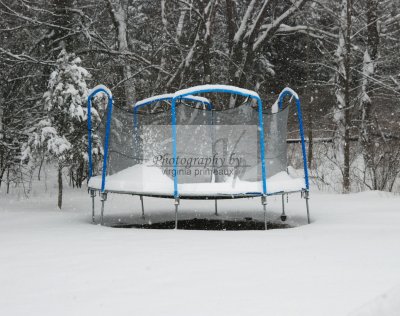 DSC_0318-A.jpg