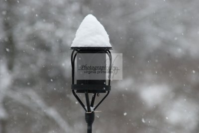 DSC_0326-A.jpg