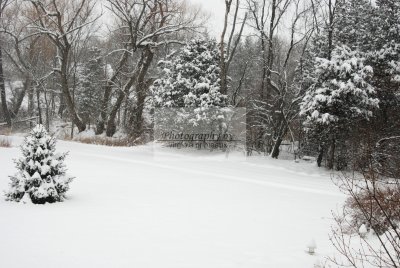 DSC_0329-A.jpg