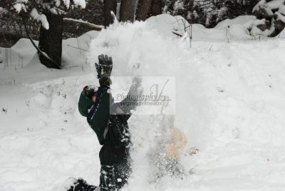 DSC_0359-A.jpg