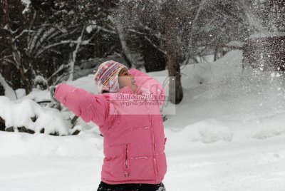 DSC_0361-A.jpg