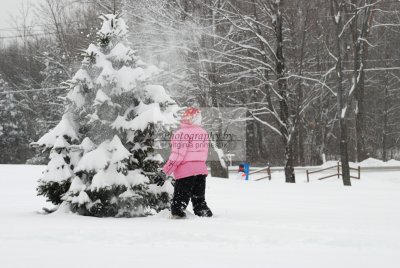 DSC_0384-A.jpg