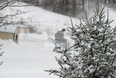 DSC_0398-A.jpg