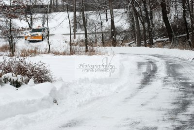 DSC_0414-A.jpg