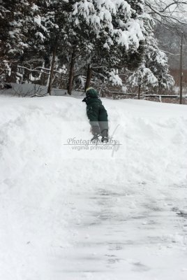 DSC_0422-A.jpg