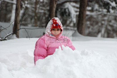 DSC_0428-A.jpg